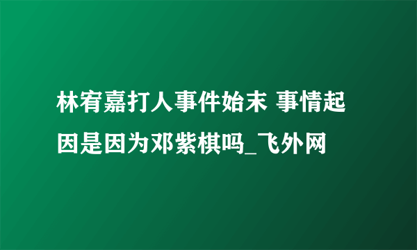 林宥嘉打人事件始末 事情起因是因为邓紫棋吗_飞外网