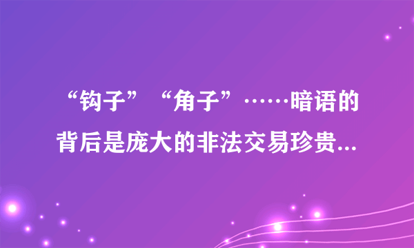 “钩子”“角子”……暗语的背后是庞大的非法交易珍贵、濒危野生动物制品地下产业链！