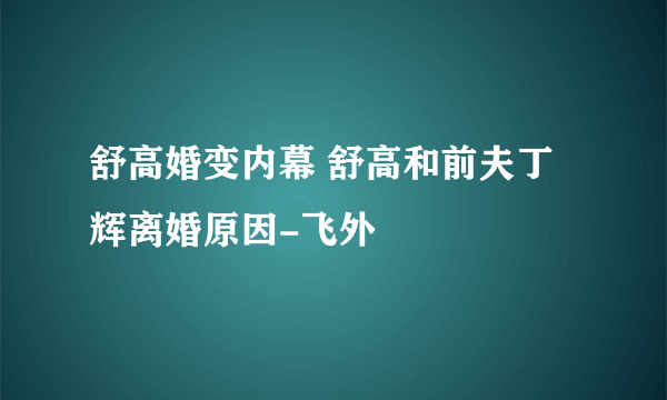 舒高婚变内幕 舒高和前夫丁辉离婚原因-飞外