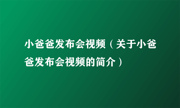 小爸爸发布会视频（关于小爸爸发布会视频的简介）