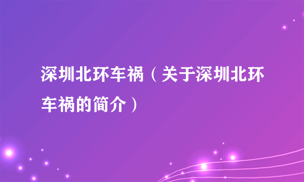 深圳北环车祸（关于深圳北环车祸的简介）