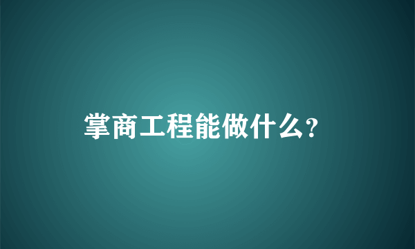 掌商工程能做什么？