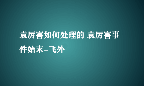 袁厉害如何处理的 袁厉害事件始末-飞外