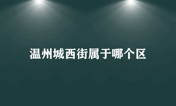 温州城西街属于哪个区