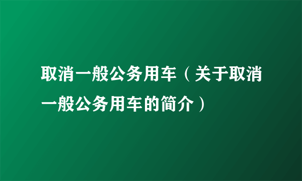 取消一般公务用车（关于取消一般公务用车的简介）