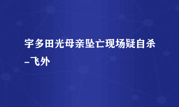 宇多田光母亲坠亡现场疑自杀-飞外