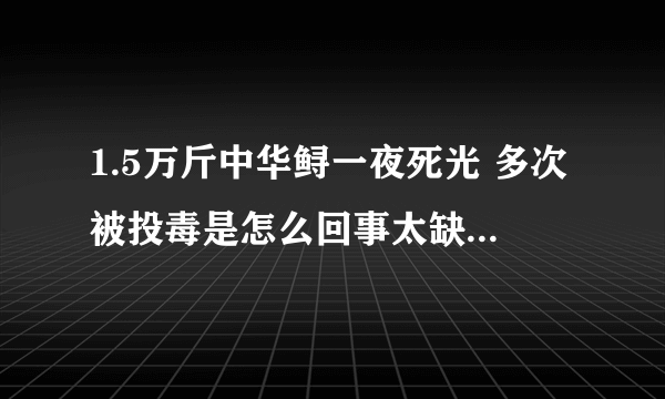 1.5万斤中华鲟一夜死光 多次被投毒是怎么回事太缺德了-飞外