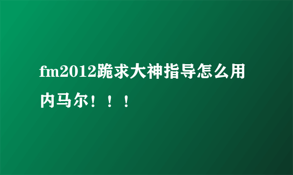 fm2012跪求大神指导怎么用内马尔！！！