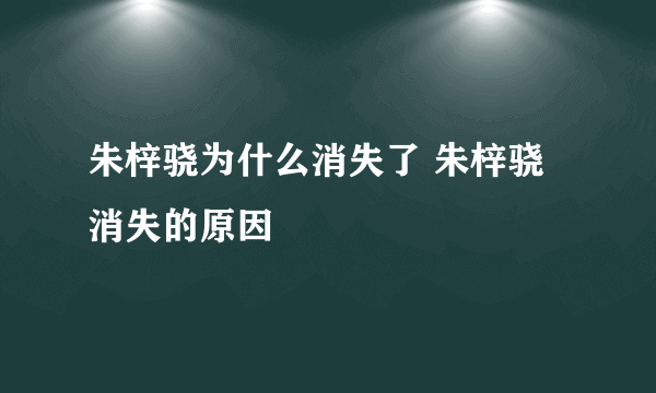 朱梓骁为什么消失了 朱梓骁消失的原因