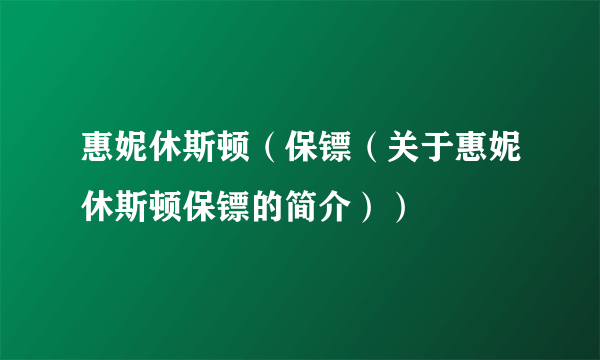 惠妮休斯顿（保镖（关于惠妮休斯顿保镖的简介））