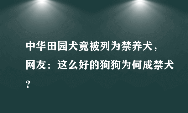 中华田园犬竟被列为禁养犬，网友：这么好的狗狗为何成禁犬？