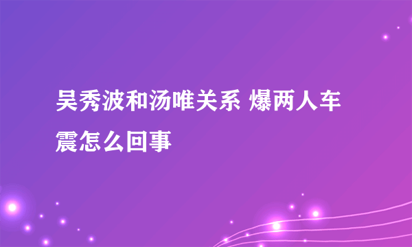 吴秀波和汤唯关系 爆两人车震怎么回事