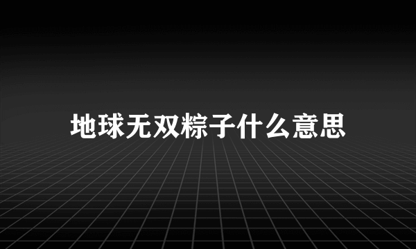 地球无双粽子什么意思