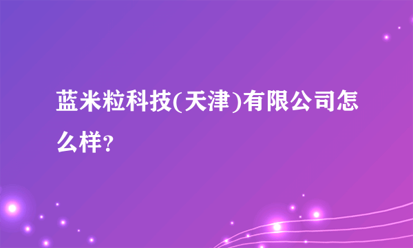 蓝米粒科技(天津)有限公司怎么样？