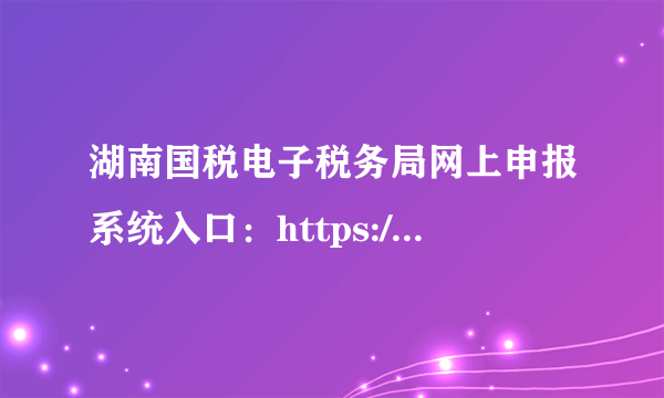 湖南国税电子税务局网上申报系统入口：https://etax.hntax.gov.cn/