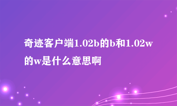 奇迹客户端1.02b的b和1.02w的w是什么意思啊