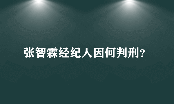 张智霖经纪人因何判刑？