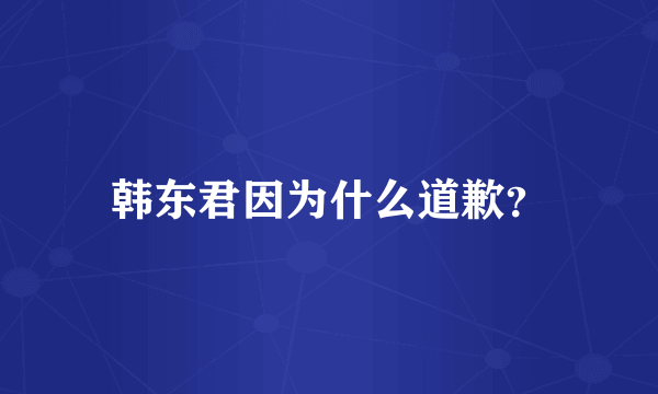 韩东君因为什么道歉？