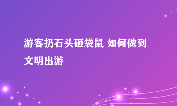 游客扔石头砸袋鼠 如何做到文明出游