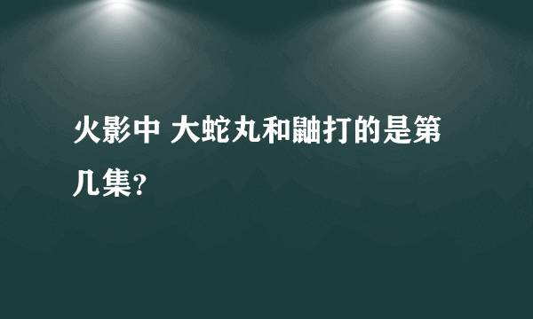 火影中 大蛇丸和鼬打的是第几集？