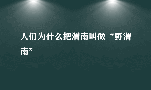 人们为什么把渭南叫做“野渭南”