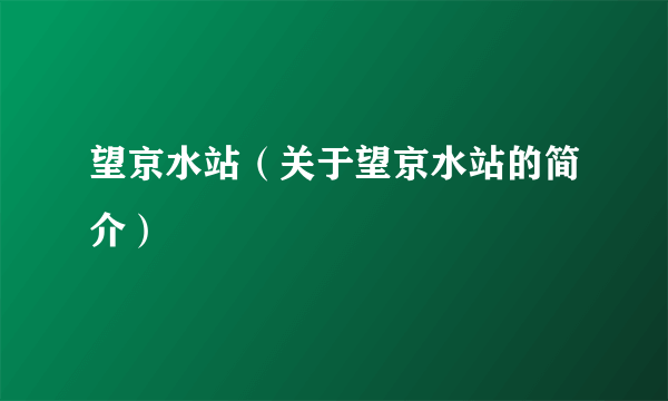 望京水站（关于望京水站的简介）