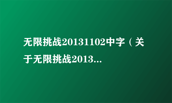 无限挑战20131102中字（关于无限挑战20131102中字的简介）