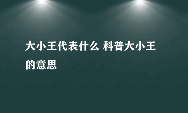 大小王代表什么 科普大小王的意思