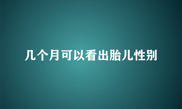 几个月可以看出胎儿性别