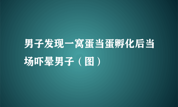 男子发现一窝蛋当蛋孵化后当场吓晕男子（图）