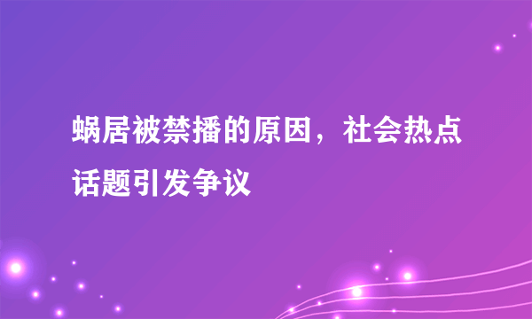 蜗居被禁播的原因，社会热点话题引发争议