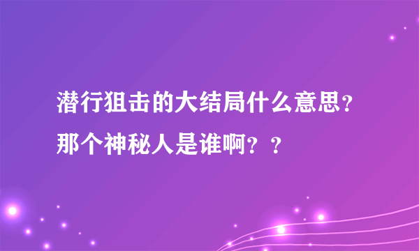 潜行狙击的大结局什么意思？那个神秘人是谁啊？？