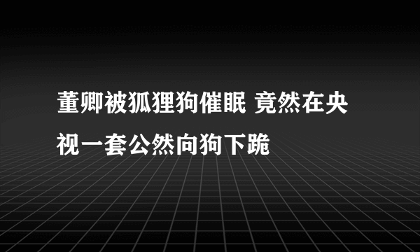 董卿被狐狸狗催眠 竟然在央视一套公然向狗下跪