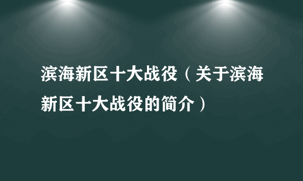 滨海新区十大战役（关于滨海新区十大战役的简介）