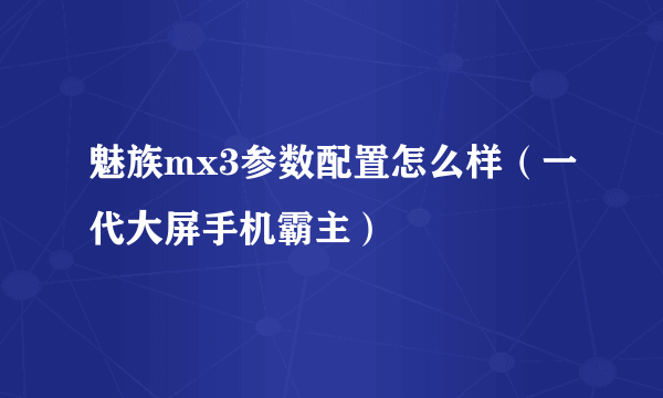 魅族mx3参数配置怎么样（一代大屏手机霸主）