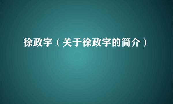 徐政宇（关于徐政宇的简介）