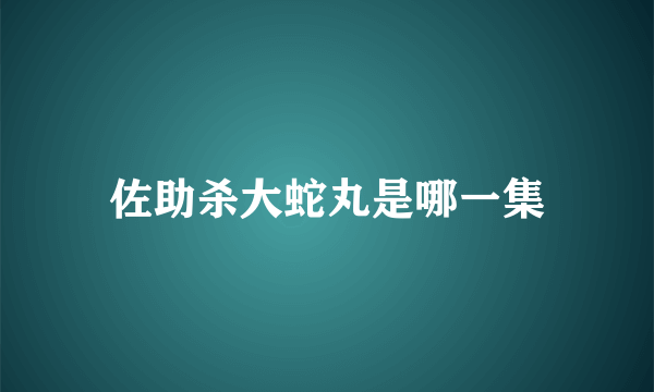 佐助杀大蛇丸是哪一集