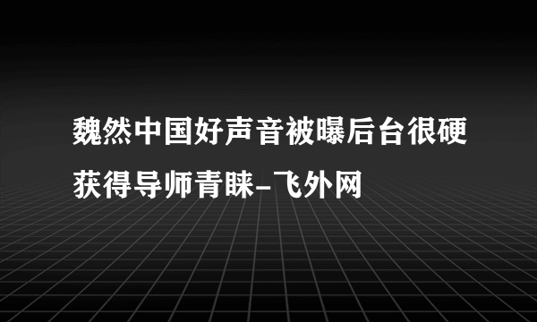 魏然中国好声音被曝后台很硬获得导师青睐-飞外网