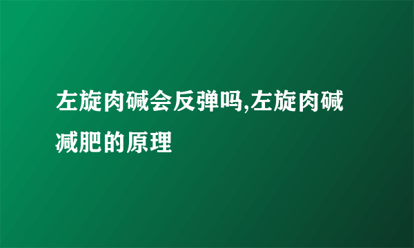 左旋肉碱会反弹吗,左旋肉碱减肥的原理