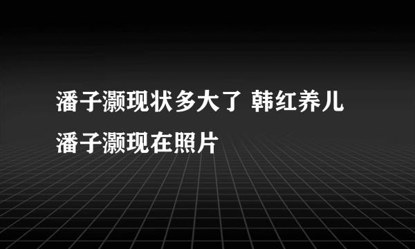 潘子灏现状多大了 韩红养儿潘子灏现在照片