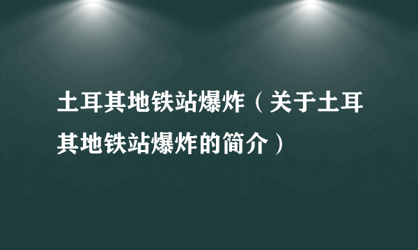 土耳其地铁站爆炸（关于土耳其地铁站爆炸的简介）