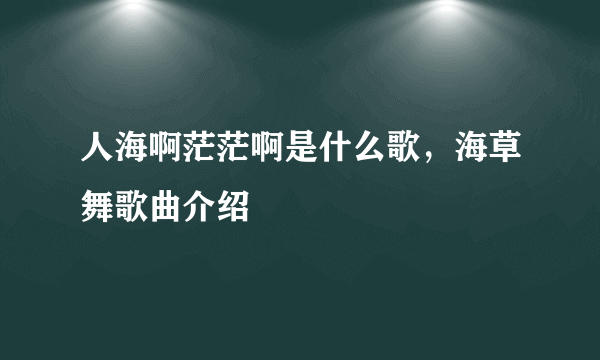 人海啊茫茫啊是什么歌，海草舞歌曲介绍