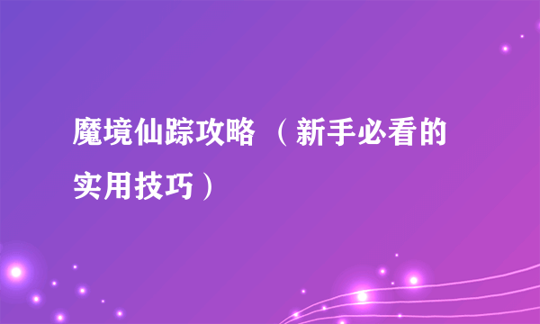 魔境仙踪攻略 （新手必看的实用技巧）