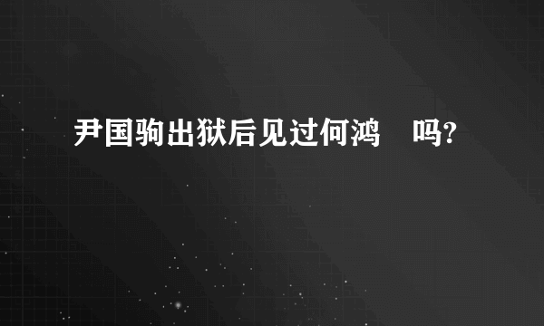 尹国驹出狱后见过何鸿燊吗?