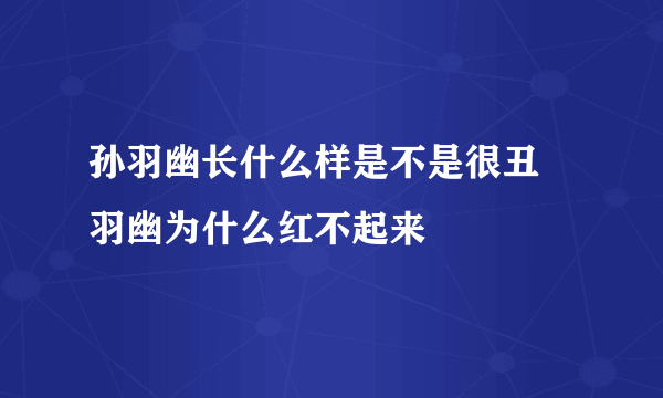 孙羽幽长什么样是不是很丑 羽幽为什么红不起来