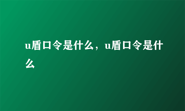 u盾口令是什么，u盾口令是什么