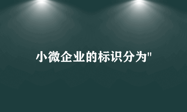 小微企业的标识分为