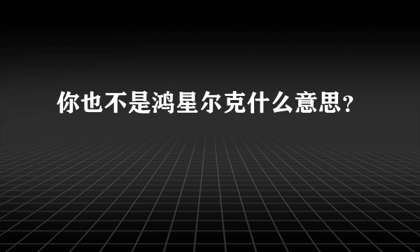 你也不是鸿星尔克什么意思？