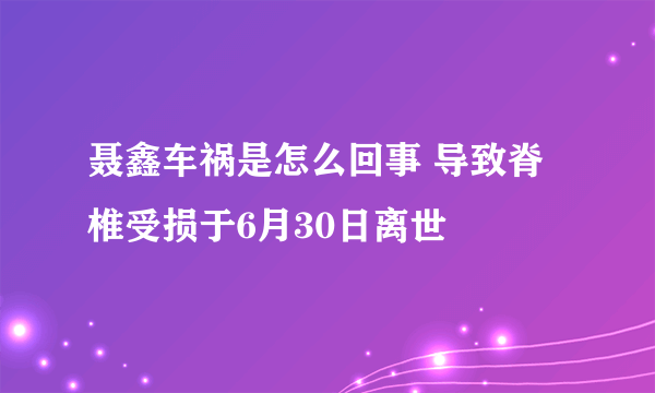 聂鑫车祸是怎么回事 导致脊椎受损于6月30日离世