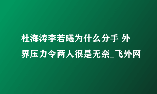 杜海涛李若曦为什么分手 外界压力令两人很是无奈_飞外网